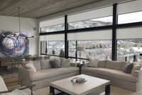 savant project